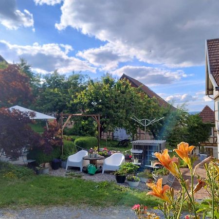 Minicamping Und B&B Apartment Hintergarten Niederorschel Buitenkant foto